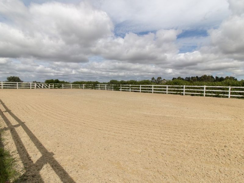 next-stage-civil-horse-arena