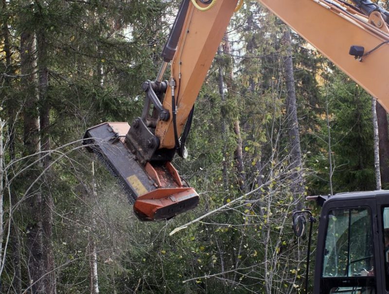 next-stage-civil-tree-mulching